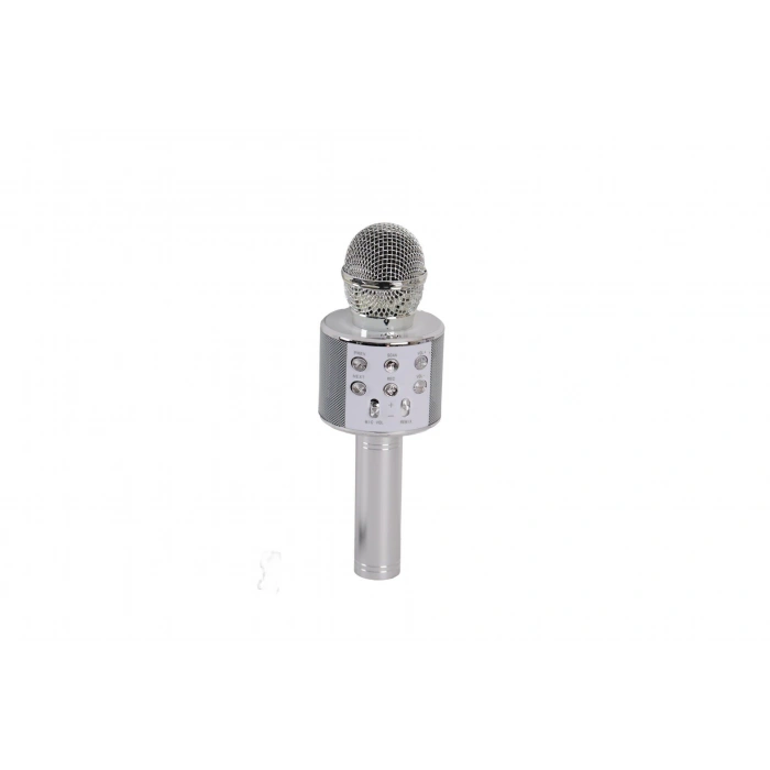 EMR-101 KUTULU KARAOKE MİKROFON