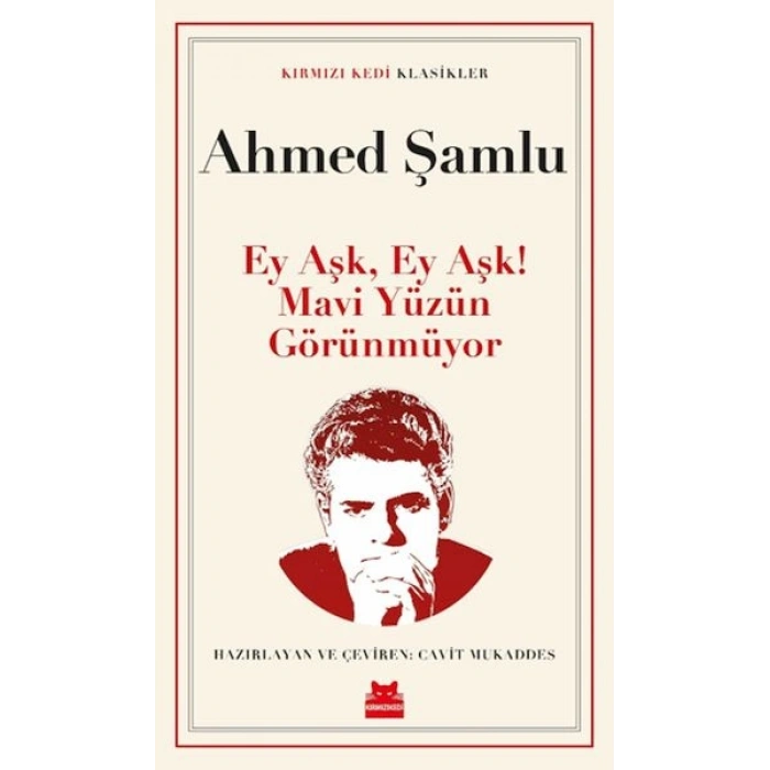 Ey Aşk, Ey Aşk! Mavi Yüzün Görünmüyor