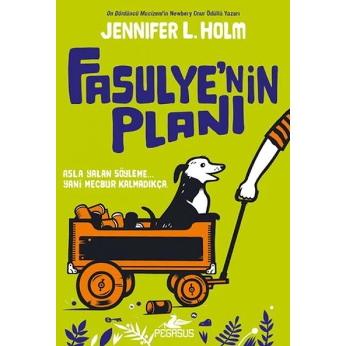 Fasulyenin Planı