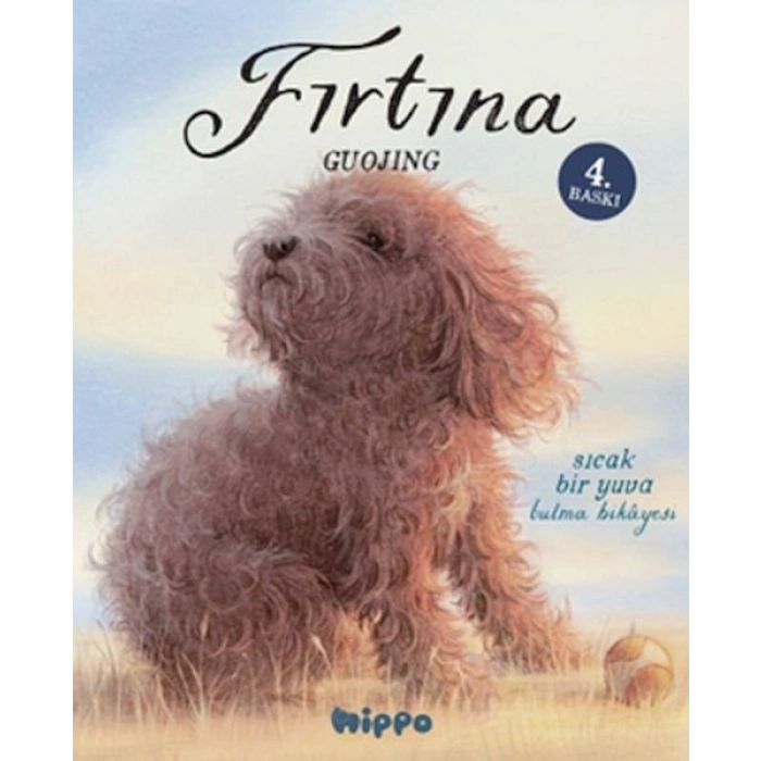 Fırtına