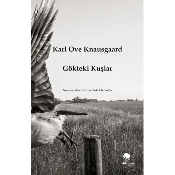 Gökteki Kuşlar