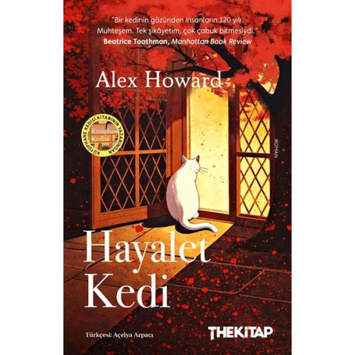 Hayalet Kedi