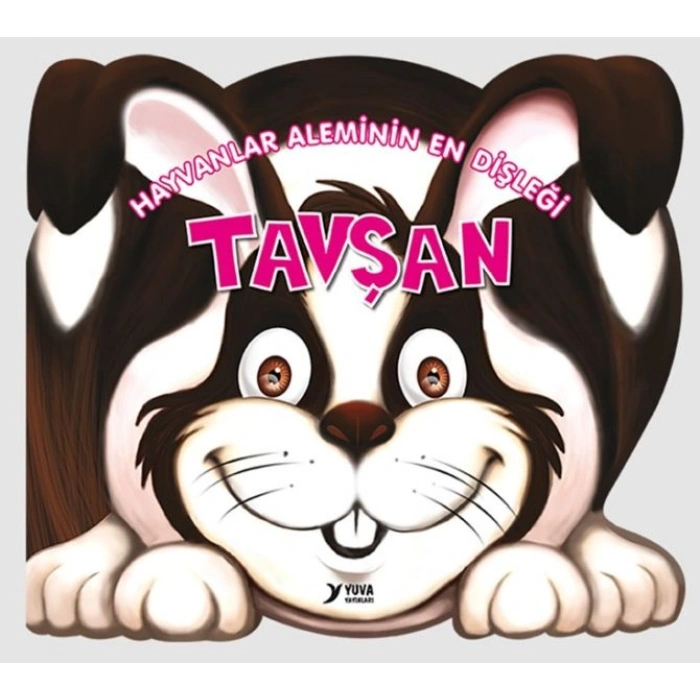 Hayvanlar Aleminin En Dişleği  Tavşan