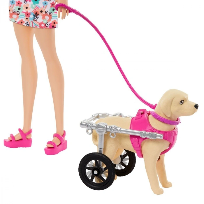 HTK37  ve Engelli Köpeği Oyun Seti