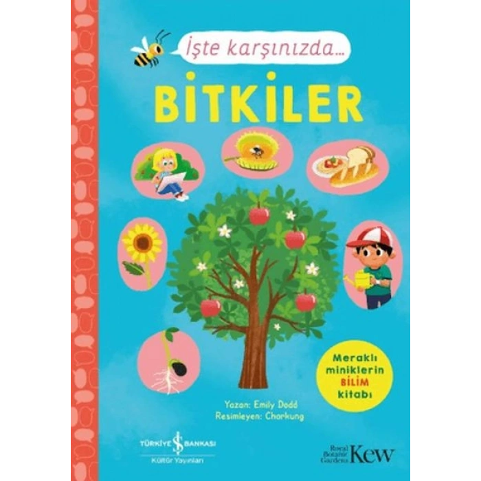 İşte Karşınızda...Bitkiler