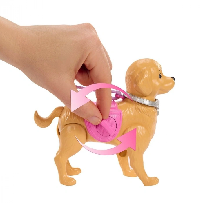 JJB46  ve Köpekçiğin Yürüyüş Zamanı