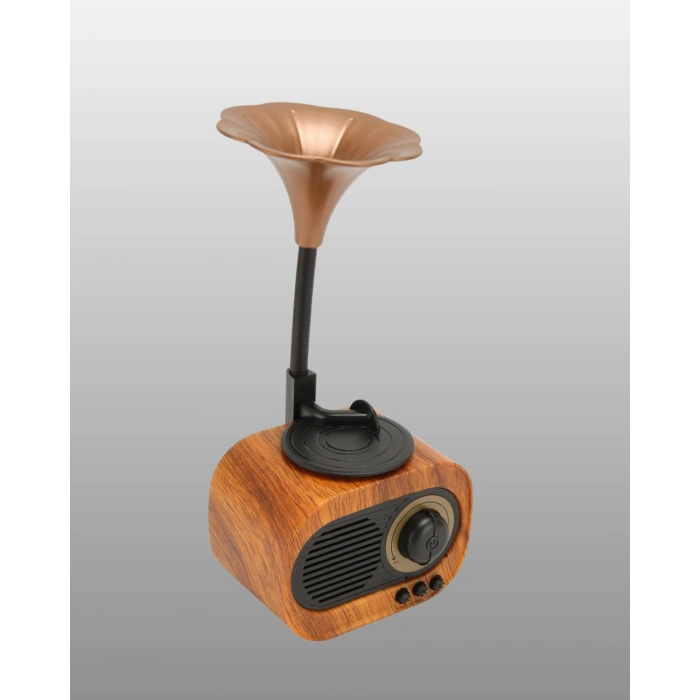 Kablosuz Retro Radyo Hoparlör 5W Güçlü Ses USB Hafıza Kart Destekli Yeni Nesil