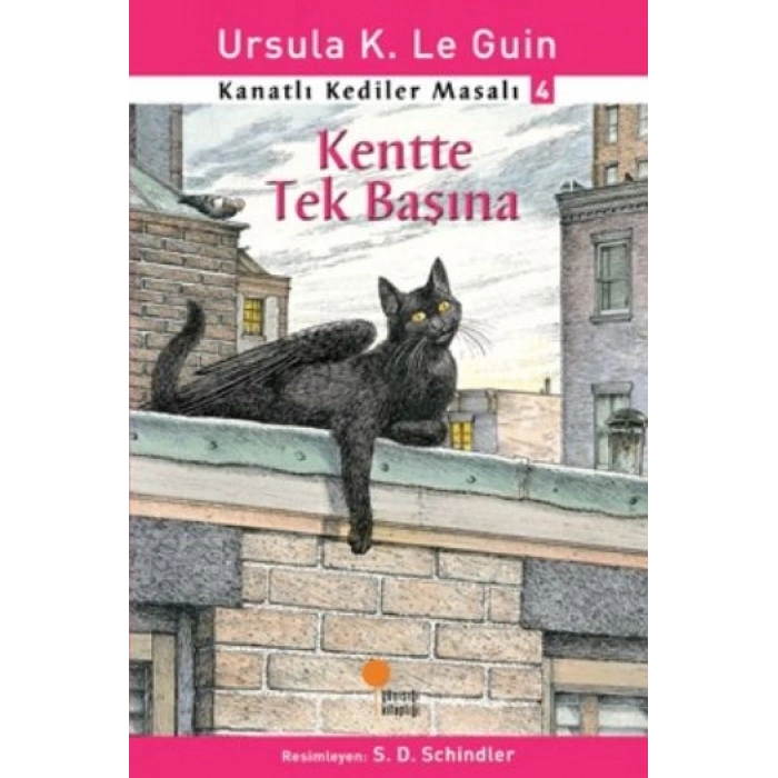 Kanatlı Kediler Masalı 4 - Kentte Tek Başına