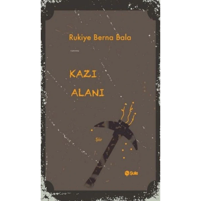 Kazı Alanı