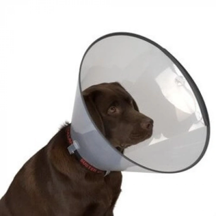 Kedi Köpek Yakalığı 15 CM