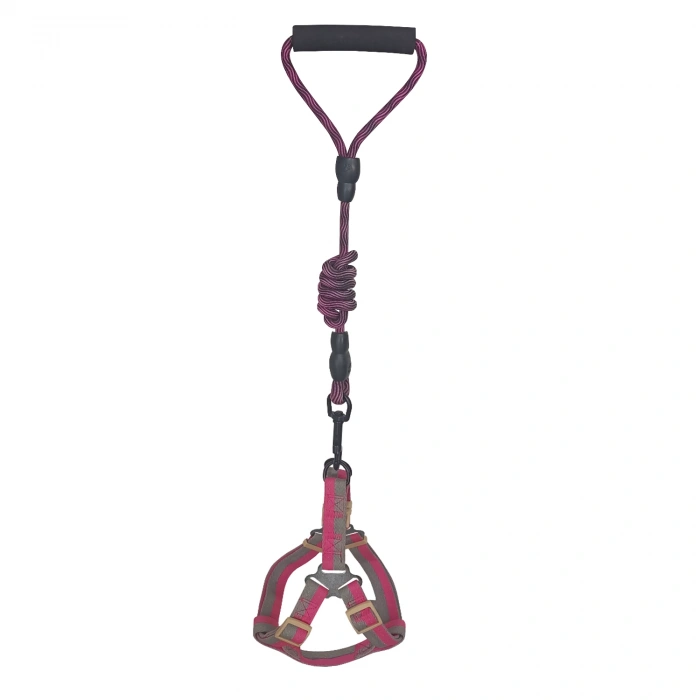 Köpek Göğüs Tasma Seti Daa Desenli 2 cm*40-58 cm Mor-Pembe