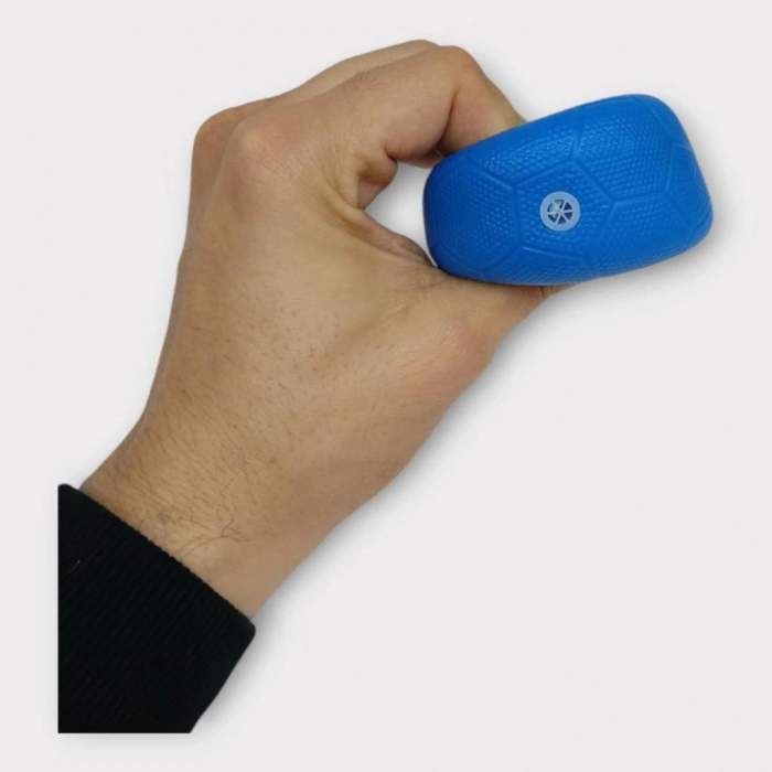 Köpek Oyuncağı - Plastik Düdüklü Top - Mavi - 1 ADET