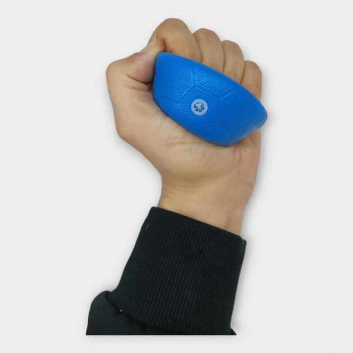 Köpek Oyuncağı - Plastik Düdüklü Top - Mavi - 1 ADET