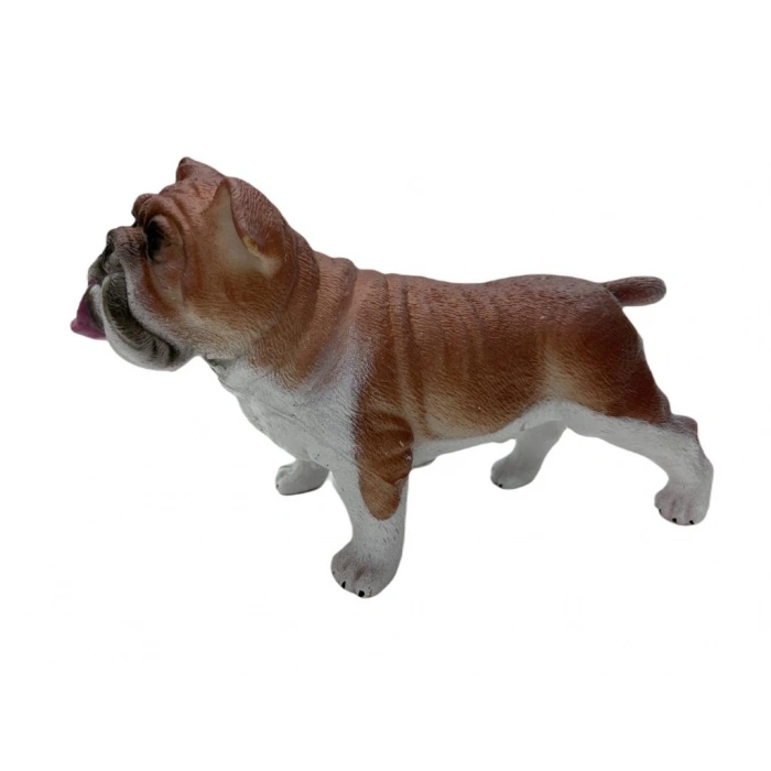 Köpekler - Amerikan Bulldog Cinsi Köpek  - 1 ADET