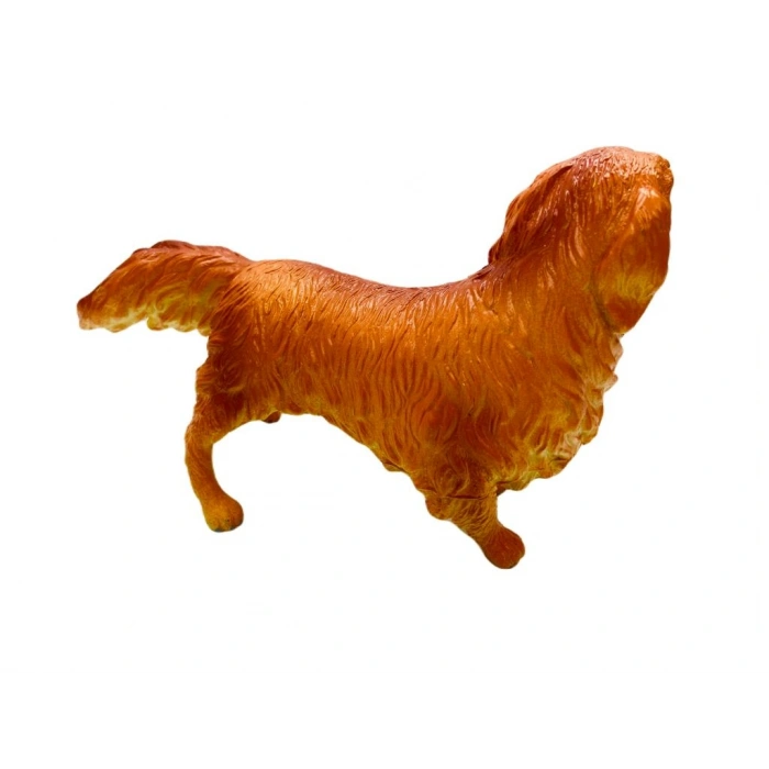 Köpekler - Collie Cinsi Köpek  - 1 ADET