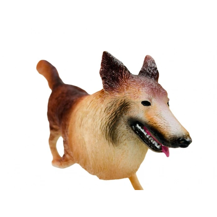 Köpekler - Golden Retriever Cinsi Köpek  - 1 ADET