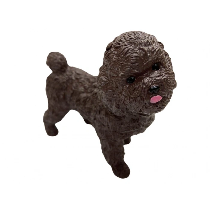 Köpekler - Poodle Cinsi Köpek  - 1 ADET