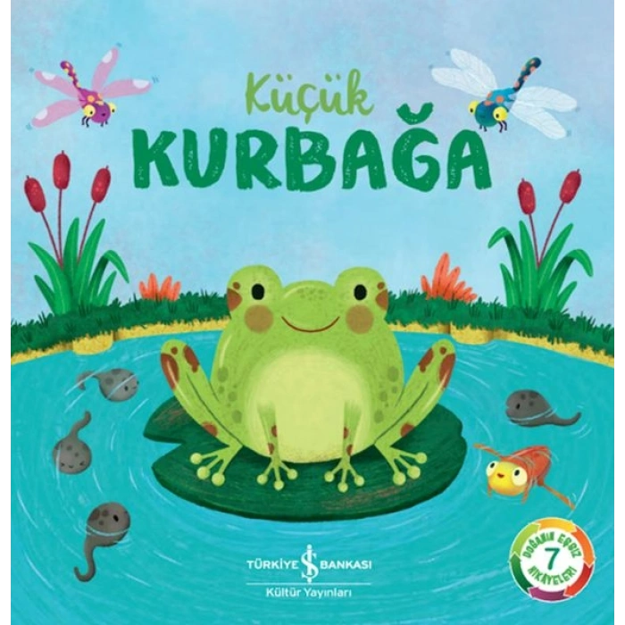 Küçük Kurbağa – Doğanın Eşsiz Hikayeleri 7