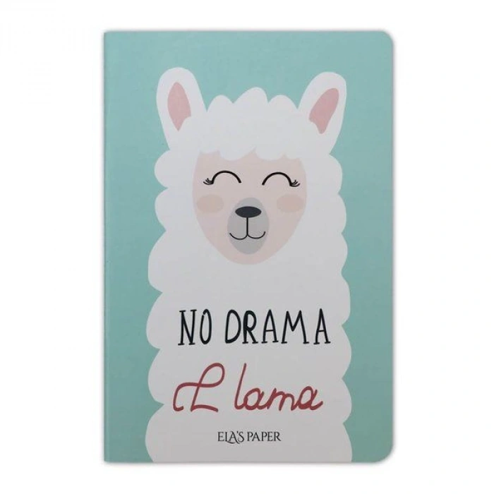 Lama Notebook Su Yeşili - Defter