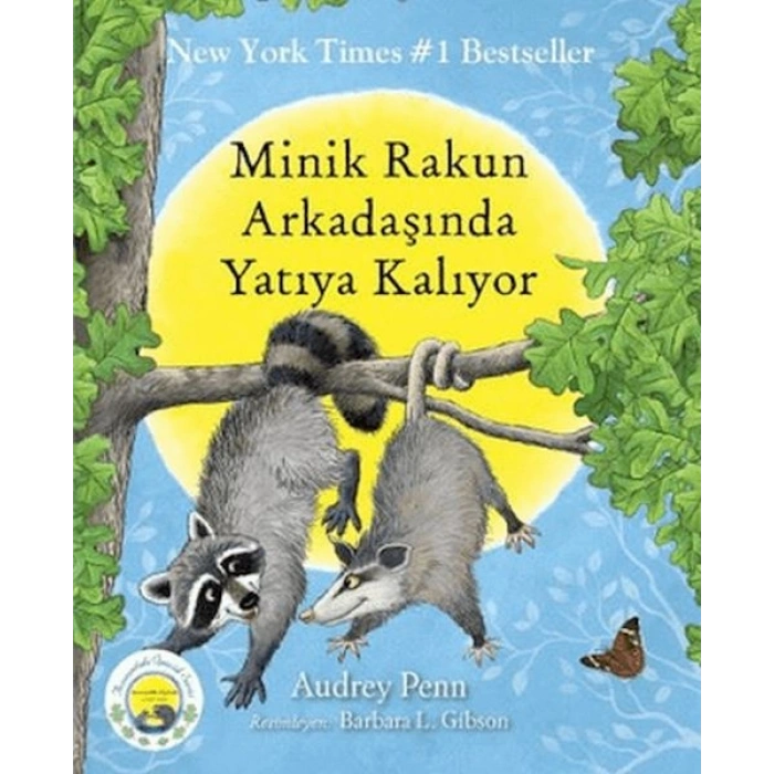 Minik Rakun Arkadaşında Yatıya Kalıyor
