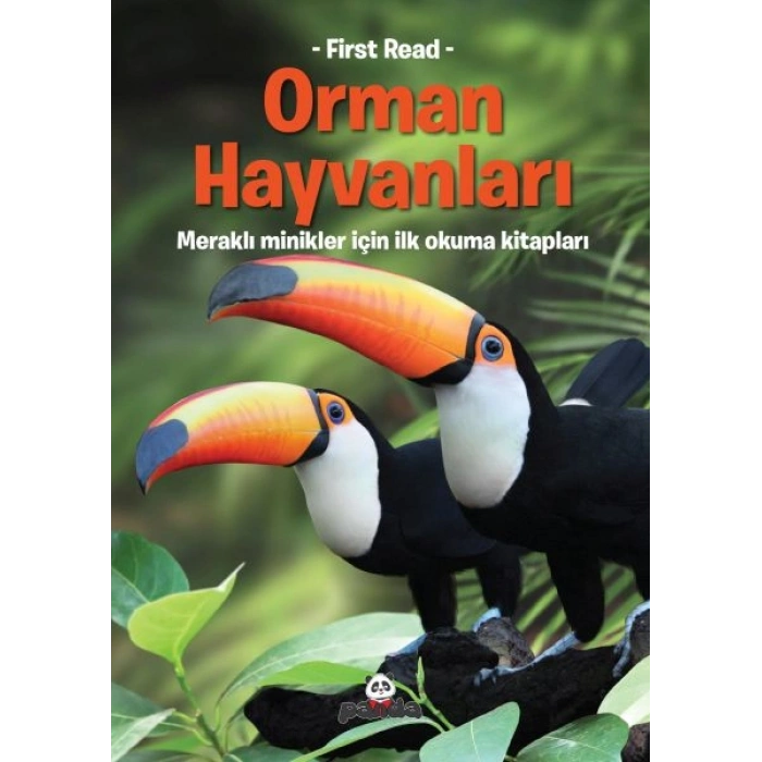 Orman Hayvanları