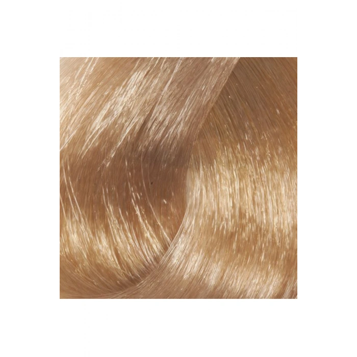 Premium 10.01 Ekstra Doğal Küllü Platin  Kalıcı Krem Saç Boyası 50 G Tüp (74)