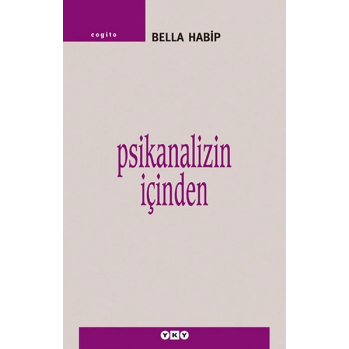 Psikanalizin İçinden