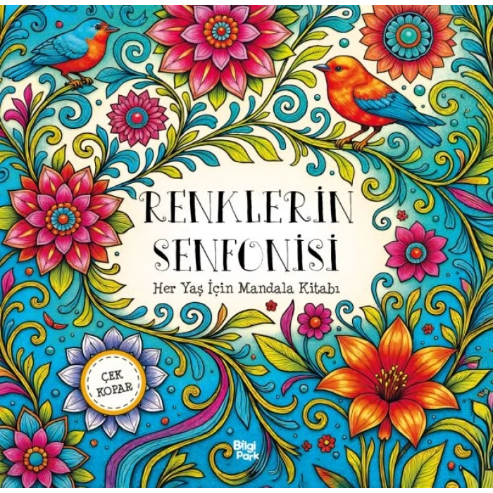 Renklerin Senfonisi – Her Yaş İçin Mandala - Çek Kopar