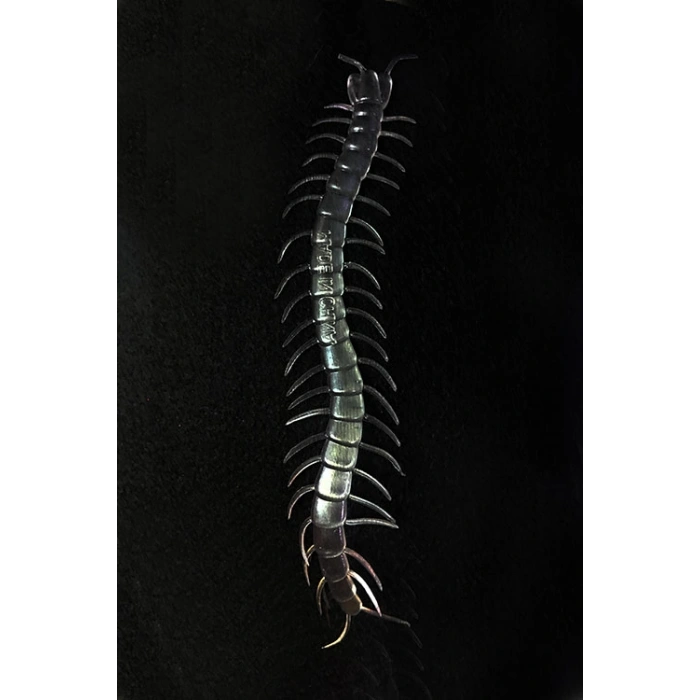 Şeffaf Renk Karanlıkta Parlayan Fosforlu Kırkayak 13 cm 1 Adet