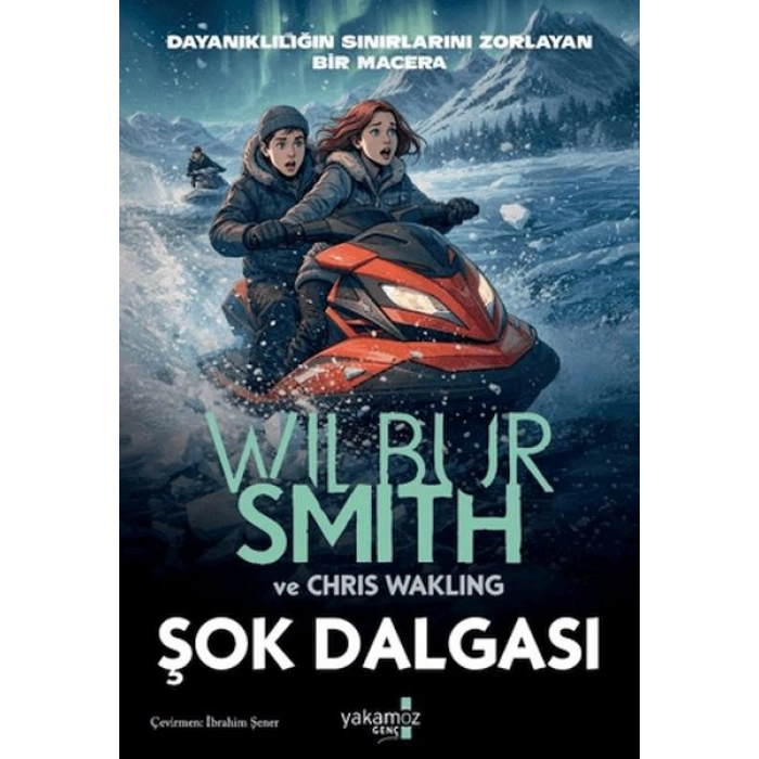 Şok Dalgası