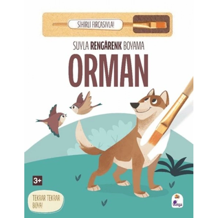 Suyla Rengarenk Boyama - Orman (Sihirli Fırçasıyla)
