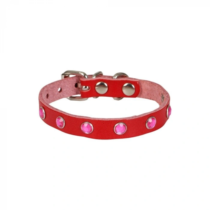 Taşlı Kedi ve Yru Köpek Tasması 1*23 cm Kırmızı Medium