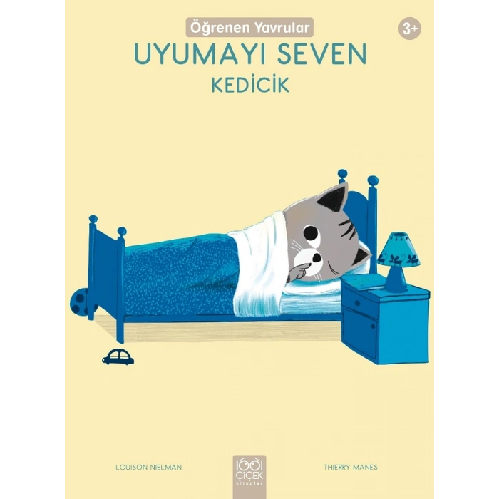 Uyumayı Seven Kedicik - Öğrenen Yavrular