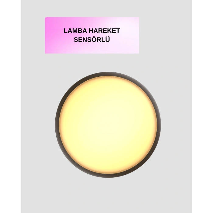 V010 LED