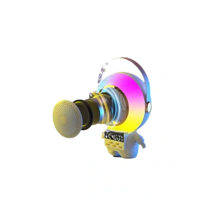XMX66 KARAOKE MİKROFON