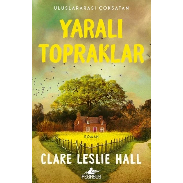 Yaralı Topraklar