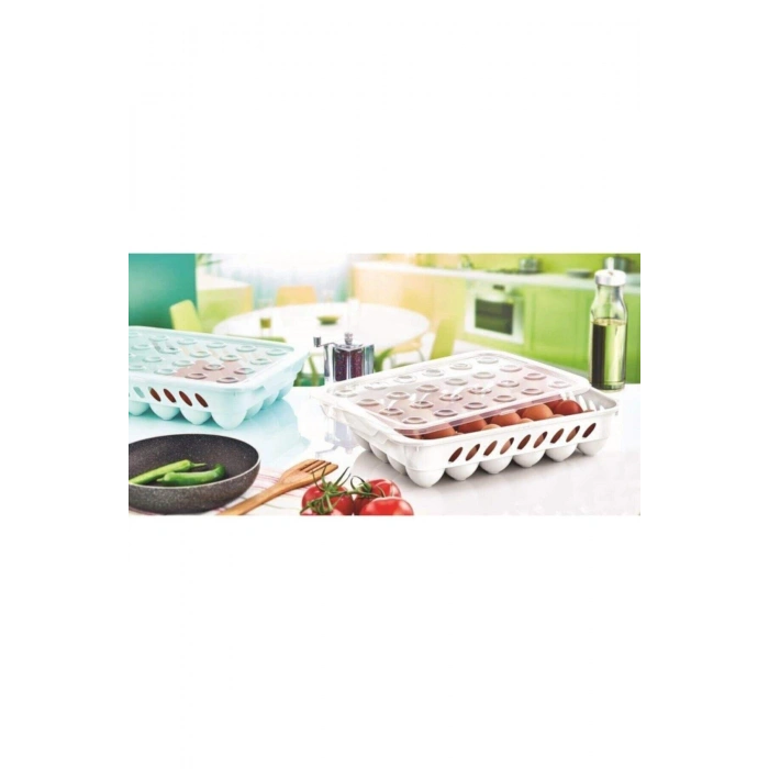 Yumurta Kapalı Saklama Kabı 24lü Beyaz (74)