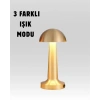 %100 Kademeli Ayarlanabilir Işık – USB Şarjlı Masa Lambası (  )