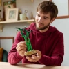 10344 Lego Botanicals Şans Bambusu 325 parça +18 yaş