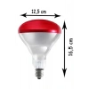 250W Kızılötesi (infrared) Isıtıcılı Hayvan Isıtma ve Kuluçka Lambası (Kırmızı Işık) E27 (Kalın Duy) (  )