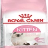 36 Yru Kedi sı 1 KG