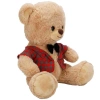 4810 SUN-JNH-PFF-SK PELUŞ AYI ELBİSELİ 32CM 2A