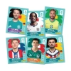 8040 FİFA WORLD CUP 2026 UPDATE SET STİCKER CALLECTİON