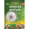Ağaçlar ve Bitkiler