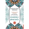 Anadolu Şifacılığı
