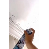 Anti Küf Yalıtım Boyası Sprey 500 ml