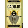 Avrupa’da ve Osmanlı’da Cadılık