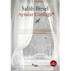 Aynalar Günlüğü