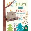 Bir Ayı Bir Ayıdır
