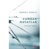 Camdan Hayatlar - Bir İçişleri Hikayesi